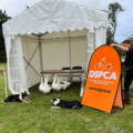 Pitch pop up display frame and branded graphic panel.