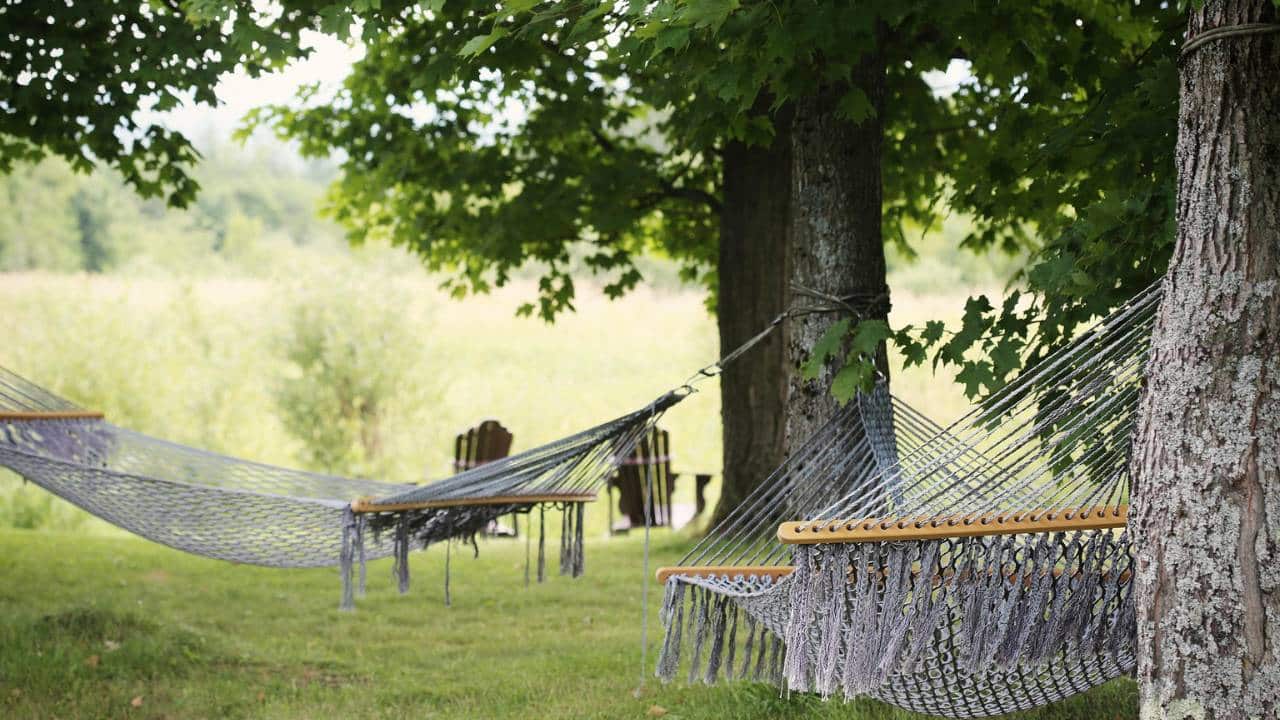 Several hammocks under the shade of the trees near the lake