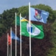 Custom printed corporate flags for business branding.