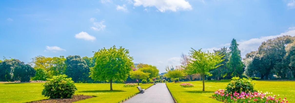Phoenix Park Dublin Bord Bia Bloom Dublin 2025