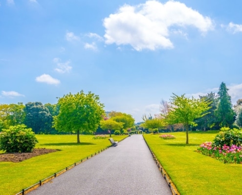 Phoenix Park Dublin Bord Bia Bloom Dublin 2025