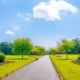 Phoenix Park Dublin Bord Bia Bloom Dublin 2025