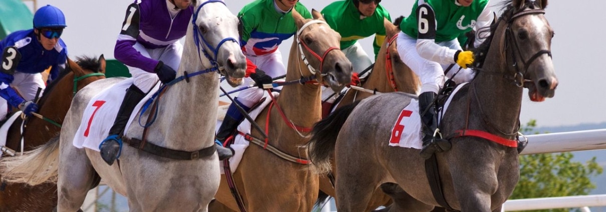 Galway Races