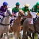 Galway Races