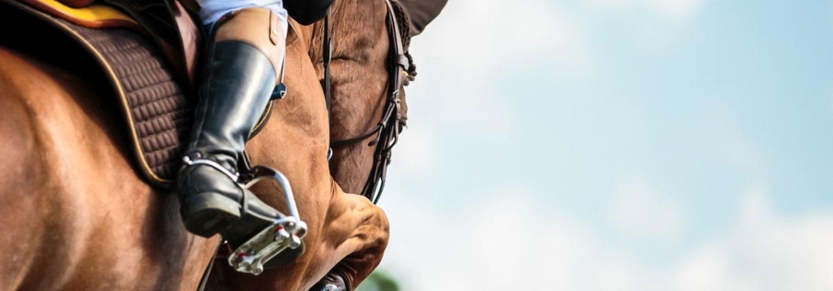 Maximise Brand exposure at the Dublin Horse Show