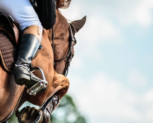 Maximise Brand exposure at the Dublin Horse Show