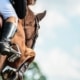 Maximise Brand exposure at the Dublin Horse Show