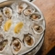 promotion during Galway Oyster festival