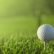 Irish open branding guide